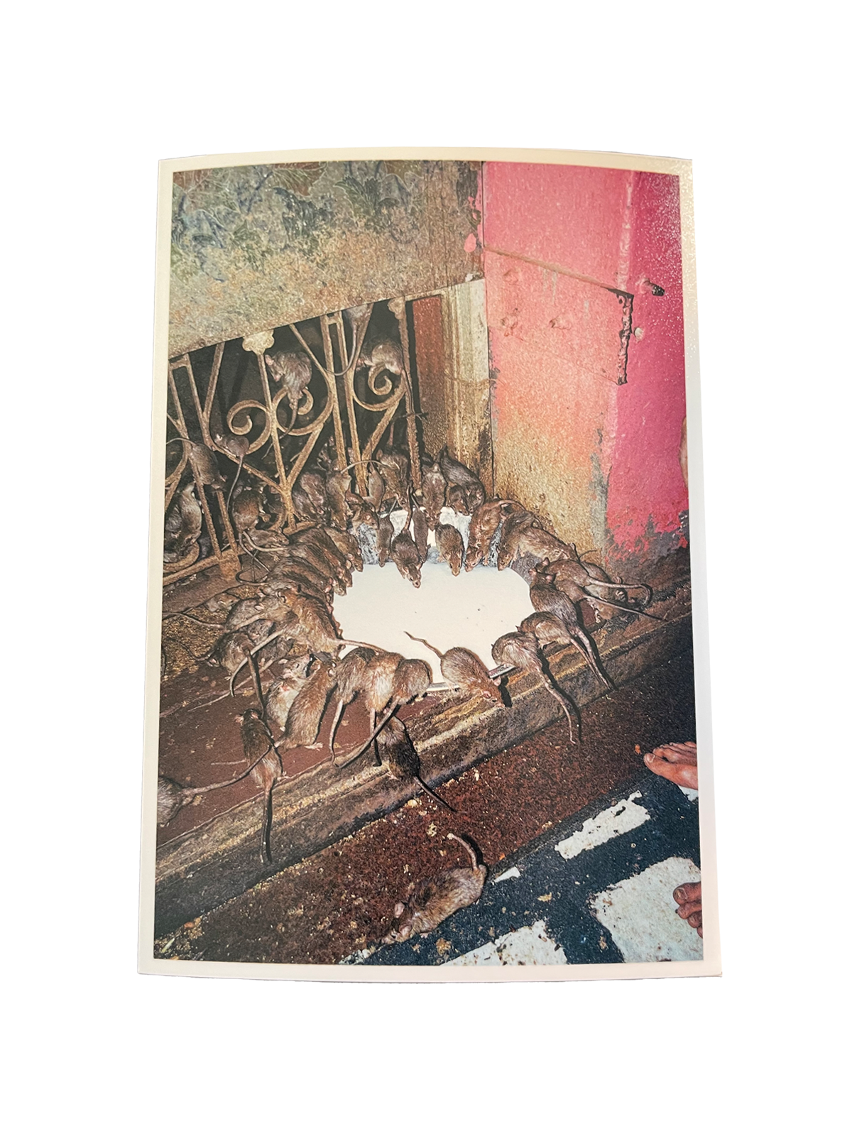 LNOB-0111-Untitled-02